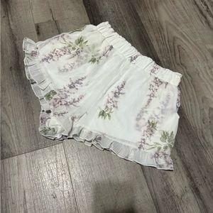 Francesca’s Sheer Lined Shorts